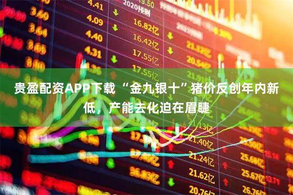 贵盈配资APP下载 “金九银十”猪价反创年内新低，产能去化迫在眉睫