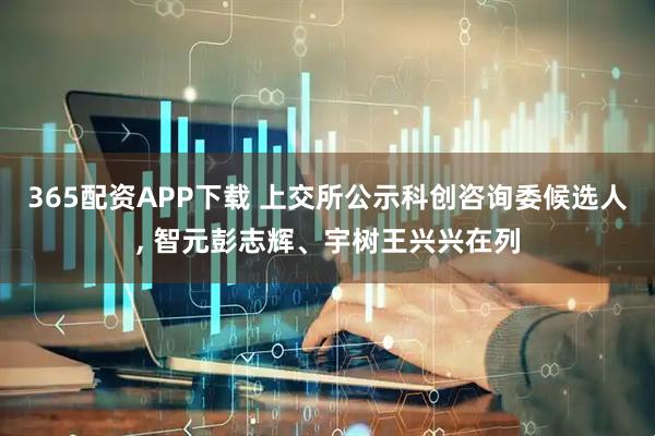 365配资APP下载 上交所公示科创咨询委候选人, 智元彭志辉、宇树王兴兴在列