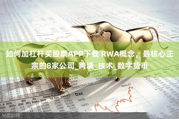 如何加杠杆买股票APP下载 RWA概念，最核心正宗的8家公司_跨境_技术_数字货币