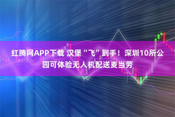 红腾网APP下载 汉堡“飞”到手！深圳10所公园可体验无人机配送麦当劳