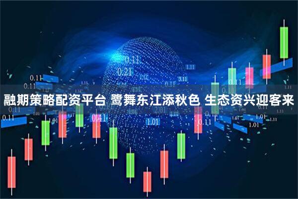 融期策略配资平台 鹭舞东江添秋色 生态资兴迎客来